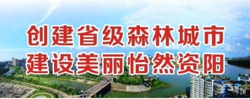 大肉棒插逼视频创建省级森林城市 建设美丽怡然资阳